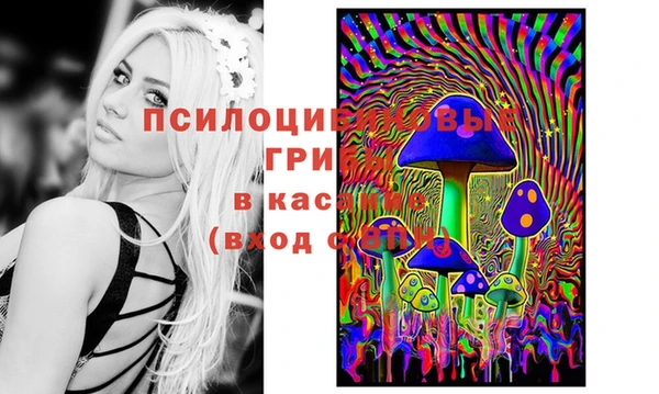 PSILOCYBIN Алексеевка