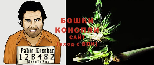 молекула духа Алексин