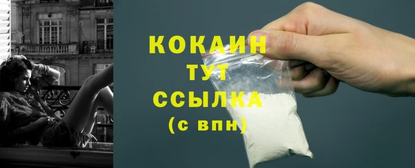 молекула духа Алексин