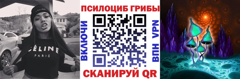 Галлюциногенные грибы MAGIC MUSHROOMS  Избербаш 