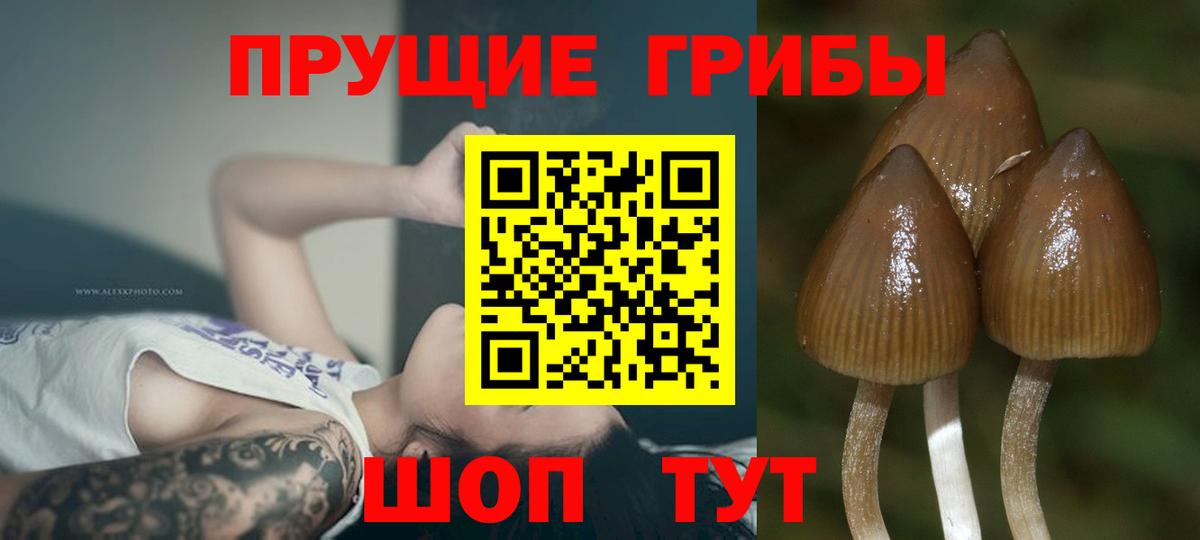 Галлюциногенные грибы мухоморы Избербаш