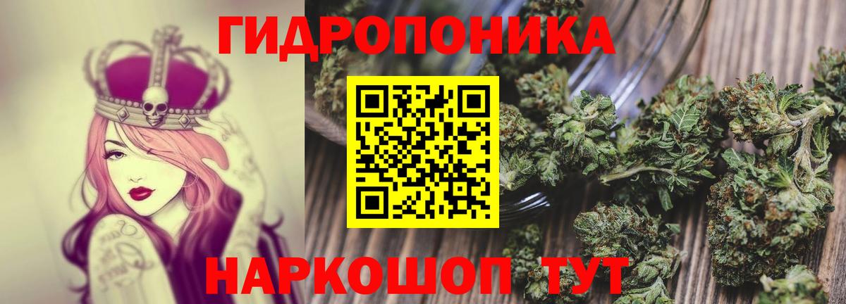 Конопля план  Бошки марихуана индика  Вход с VPN  Шишки марихуана индика  Избербаш  Канабис гибрид 